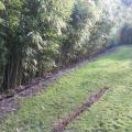 Pose d'une barriere anti-rhizome sur 26 m²