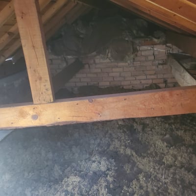 Expertise des combles
